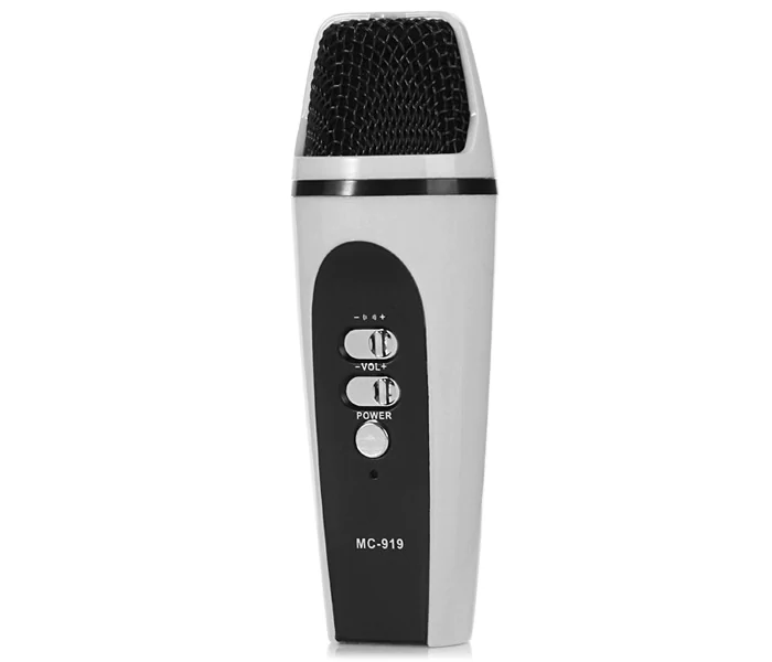 microfon_mini_mc-919_karaoke__cu_fir_usb.png